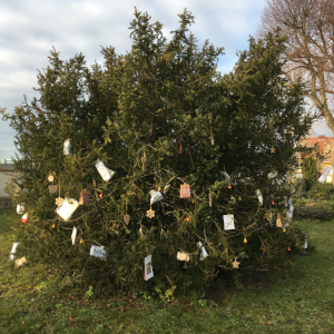 Weihnachtsbaum mit Anhängern vor der Pechauer Kirche 2020